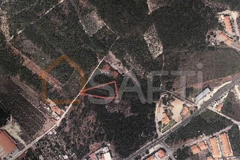 Helårsgrund i Pataias, Leiria, Pataias - € 38.000 | Ref: SAFTI:005741 - foto 5