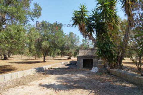 Helårsgrund i Carovigno, Brindisi, Carovigno - € 78.000 | Ref: 122718 - foto 2