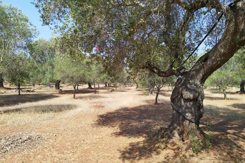 Helårsgrund i Carovigno, Brindisi, Carovigno - € 78.000 | Ref: 122718 - foto 1