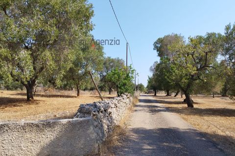 Helårsgrund i Carovigno, Brindisi, Carovigno - € 78.000 | Ref: 122718 - foto 7