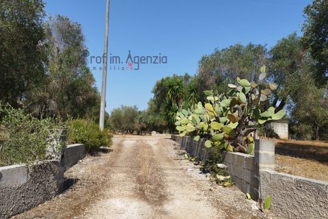 Helårsgrund i Carovigno, Brindisi, Carovigno - € 78.000 | Ref: 122718 - foto 6