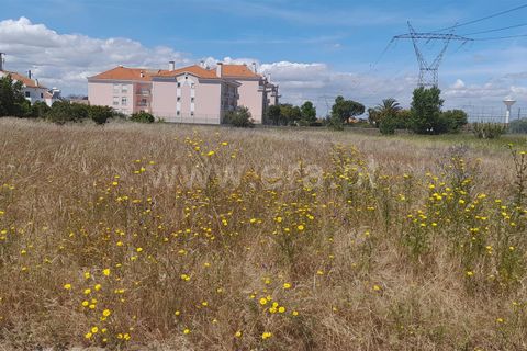 Helårsgrund i Benavente, Santarem, Benavente - € 2.000.000 | Ref: 261240059 - foto 1