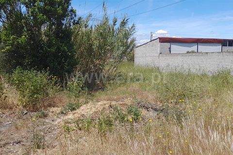 Helårsgrund i Benavente, Santarem, Benavente - € 2.000.000 | Ref: 261240059 - foto 2