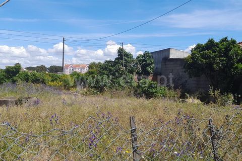 Helårsgrund i Benavente, Santarem, Benavente - € 2.000.000 | Ref: 261240059 - foto 5