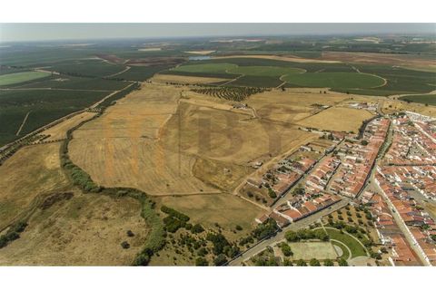 Helårsgrund i Beja, Beja, Beja - € 87.500 | Ref: BYS-938 - foto 3