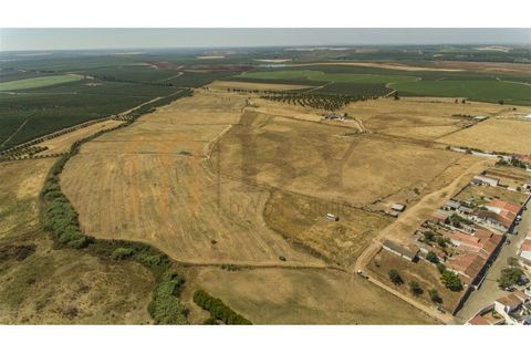 Helårsgrund i Beja, Beja, Beja - € 87.500 | Ref: BYS-938 - foto 4
