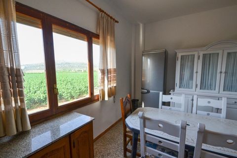 Landejendom i Vinaros, Castellon, Vinaros - € 1.690.000 | Ref: FZV453/6931 - foto 16