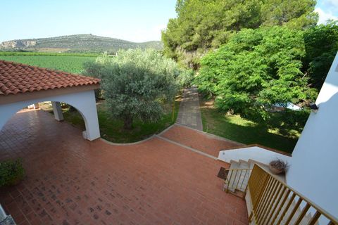 Landejendom i Vinaros, Castellon, Vinaros - € 1.690.000 | Ref: FZV453/6931 - foto 17
