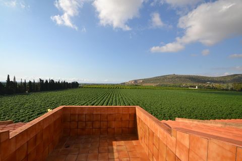 Landejendom i Vinaros, Castellon, Vinaros - € 1.690.000 | Ref: FZV453/6931 - foto 39