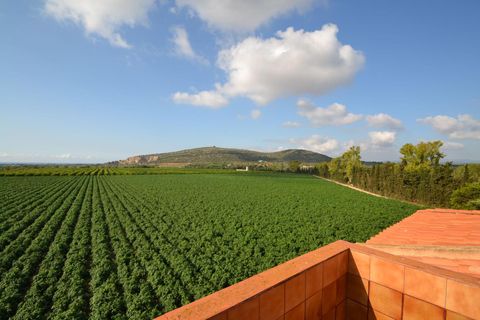 Landejendom i Vinaros, Castellon, Vinaros - € 1.690.000 | Ref: FZV453/6931 - foto 40