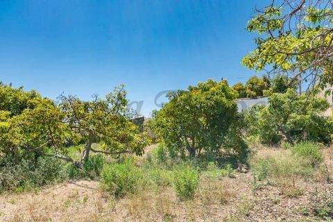 Terreno en Nerja, Malaga, Nerja - € 300.000 | Ref: NP005 - photo 3