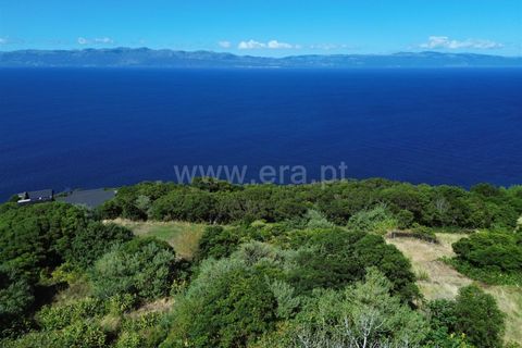 Villa i Sao Roque do Pico, Pico, Sao Roque do Pico - € 580.000 | Ref: 374240198 - foto 14