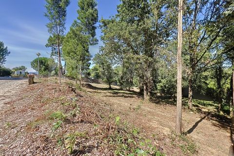 Helårsgrund i Venade e Azevedo, Viana do Castelo, Venade e Azevedo - € 75.000 | Ref: 2475 - foto 11
