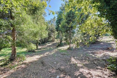 Helårsgrund i Venade e Azevedo, Viana do Castelo, Venade e Azevedo - € 75.000 | Ref: 2475 - foto 14