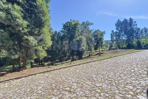 Helårsgrund i Venade e Azevedo, Viana do Castelo, Venade e Azevedo - € 75.000 | Ref: 2475 - foto 15