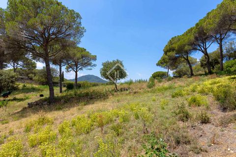 Terra a Vallromanes, Barcelona, Vallromanes - € 381.646 | Ref: MRS51620 - foto 16