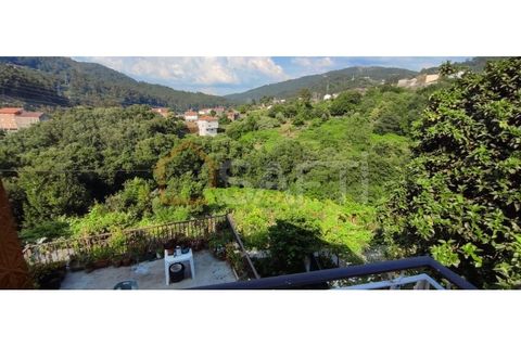 Villa i Melgaco, Viana do Castelo, Melgaco - € 140.000 | Ref: SAFTI:005447 - foto 24