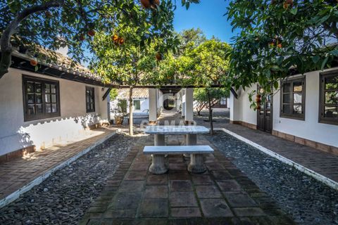 Villa i Sotogrande, Cadiz, Sotogrande - € 3.500.000 | Ref: 184559 - foto 5