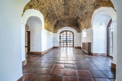 Villa i Sotogrande, Cadiz, Sotogrande - € 3.500.000 | Ref: 184559 - foto 16