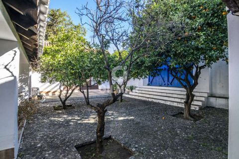 Villa i Sotogrande, Cadiz, Sotogrande - € 3.500.000 | Ref: 184559 - foto 38