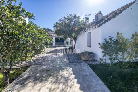 Villa i Sotogrande, Cadiz, Sotogrande - € 3.500.000 | Ref: 184559 - foto 41