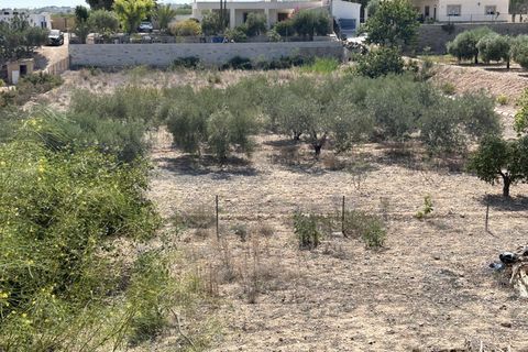 Herregård i Albatera, Alicante, Albatera - € 420 000 | Ref: CC0590 - foto 47
