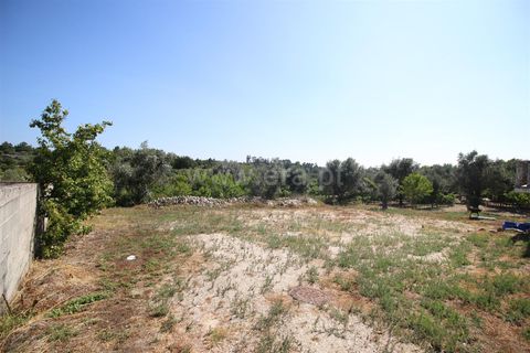 Villa i Seia, Guarda, Seia - € 234.000 | Ref: 405240078 - foto 18