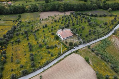 Villa i Gouveia, Guarda, Gouveia - € 500.000 | Ref: 405240150 - foto 17