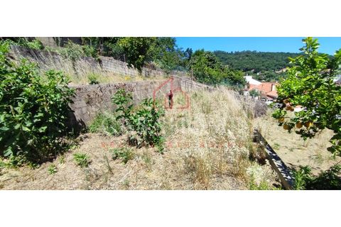 Villa i Monchique, Faro, Monchique - € 380.000 | Ref: 7265 - foto 11