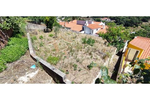 Villa i Monchique, Faro, Monchique - € 380.000 | Ref: 7265 - foto 13