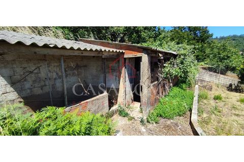 Villa i Monchique, Faro, Monchique - € 380.000 | Ref: 7265 - foto 14