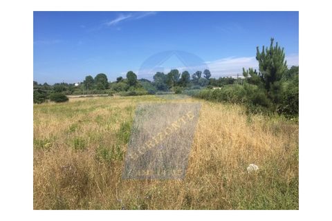 Helårsgrund i Anadia, Aveiro, Anadia - € 58.000 | Ref: TER_702 - foto 1
