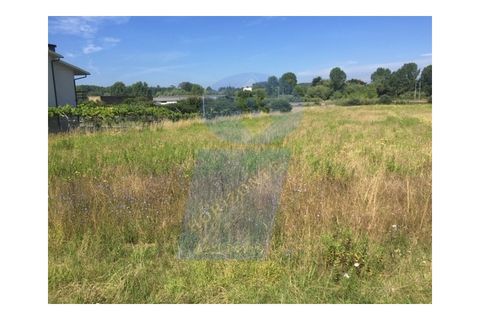 Helårsgrund i Anadia, Aveiro, Anadia - € 58.000 | Ref: TER_702 - foto 2