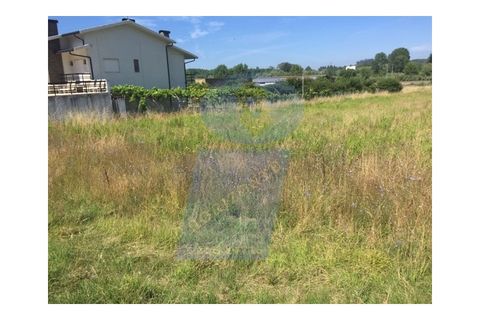 Helårsgrund i Anadia, Aveiro, Anadia - € 58.000 | Ref: TER_702 - foto 3