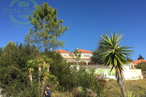Villa i Belas, Lisbon, Belas - € 2.500.000 | Ref: CAS_1328 - foto 4