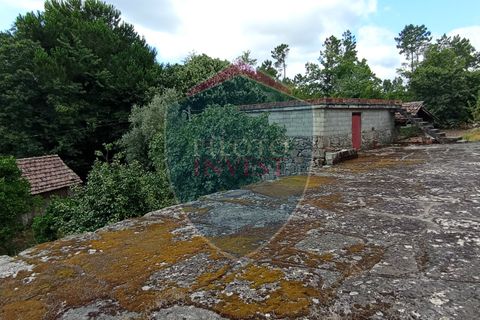 Helårsgrund i Viseu, Viseu, Viseu - € 45.000 | Ref: 2095/V - foto 2