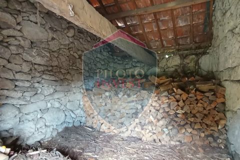 Helårsgrund i Viseu, Viseu, Viseu - € 45.000 | Ref: 2095/V - foto 6