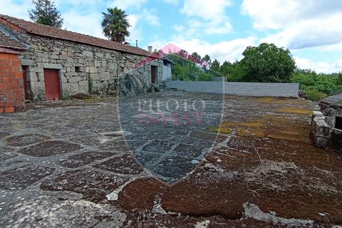 Helårsgrund i Viseu, Viseu, Viseu - € 45.000 | Ref: 2095/V - foto 10