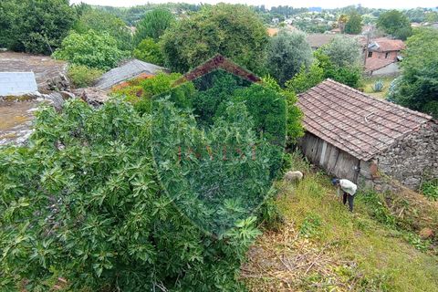 Helårsgrund i Viseu, Viseu, Viseu - € 45.000 | Ref: 2095/V - foto 13