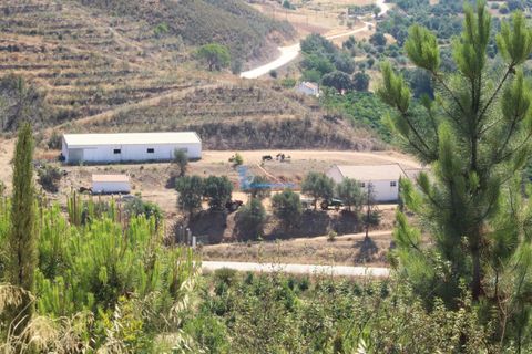 Farm i Silves, Faro, Silves - € 7.900.000 | Ref: H755 - foto 7