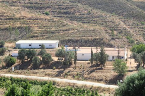 Farm i Silves, Faro, Silves - € 7.900.000 | Ref: H755 - foto 9
