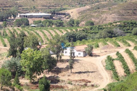 Farm i Silves, Faro, Silves - € 7.900.000 | Ref: H755 - foto 10