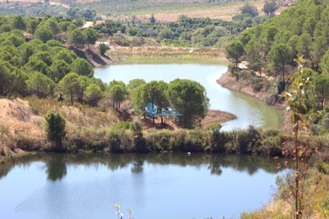 Farm i Silves, Faro, Silves - € 7.900.000 | Ref: H755 - foto 11