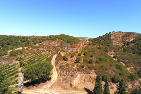 Farm i Silves, Faro, Silves - € 7.900.000 | Ref: H755 - foto 13