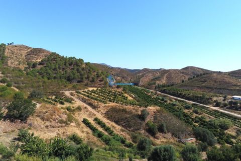Farm i Silves, Faro, Silves - € 7.900.000 | Ref: H755 - foto 14