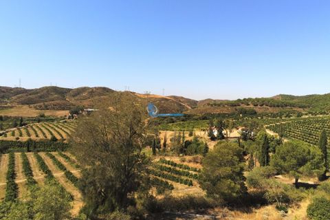 Farm i Silves, Faro, Silves - € 7.900.000 | Ref: H755 - foto 15