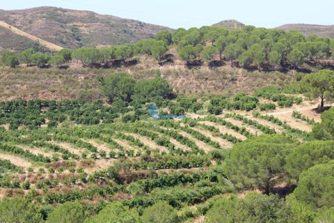 Farm i Silves, Faro, Silves - € 7.900.000 | Ref: H755 - foto 26