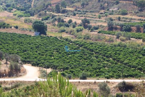 Farm i Silves, Faro, Silves - € 7.900.000 | Ref: H755 - foto 27