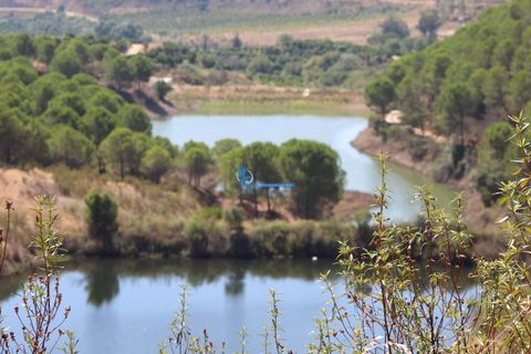 Farm i Silves, Faro, Silves - € 7.900.000 | Ref: H755 - foto 29