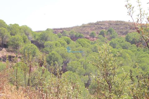 Farm i Silves, Faro, Silves - € 7.900.000 | Ref: H755 - foto 31